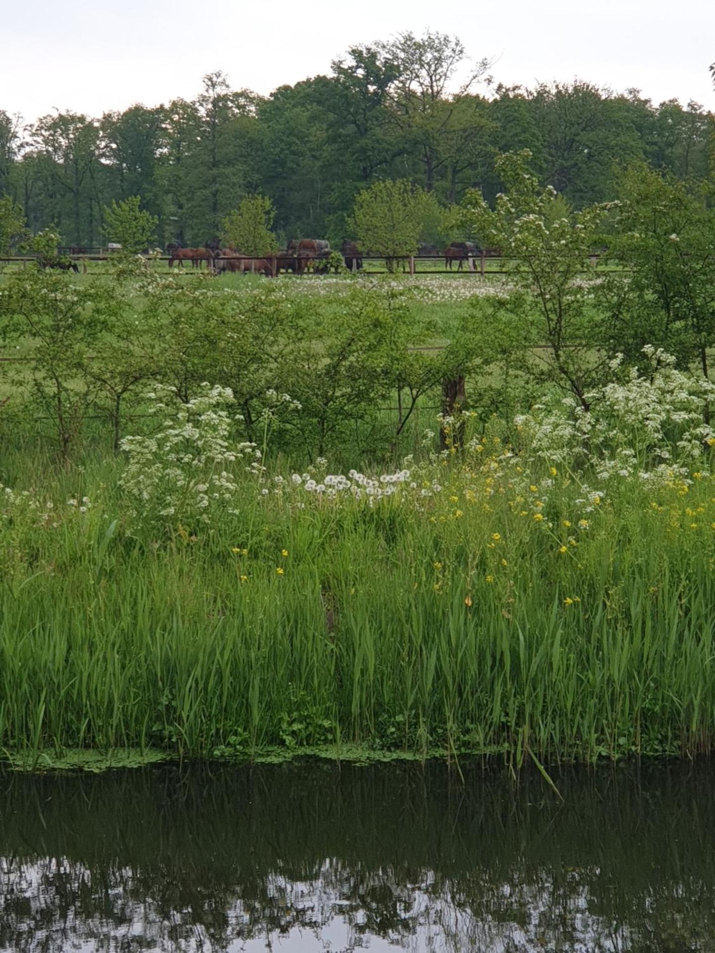 Weleveld Landgoed De Lavei Bed & Breakfast エクステリア 写真