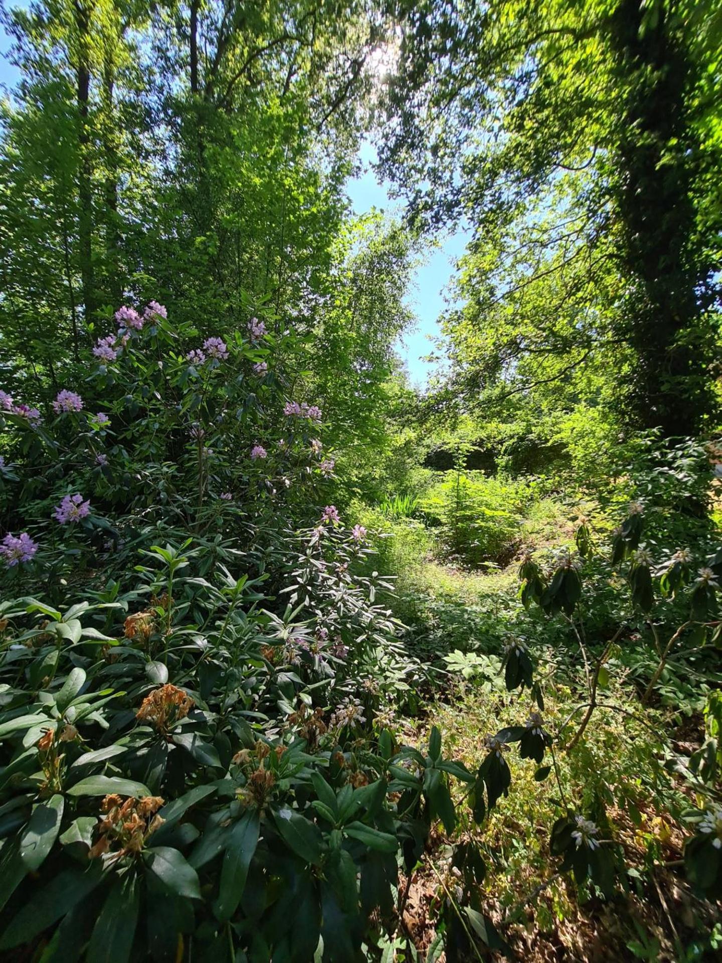 Weleveld Landgoed De Lavei Bed & Breakfast エクステリア 写真