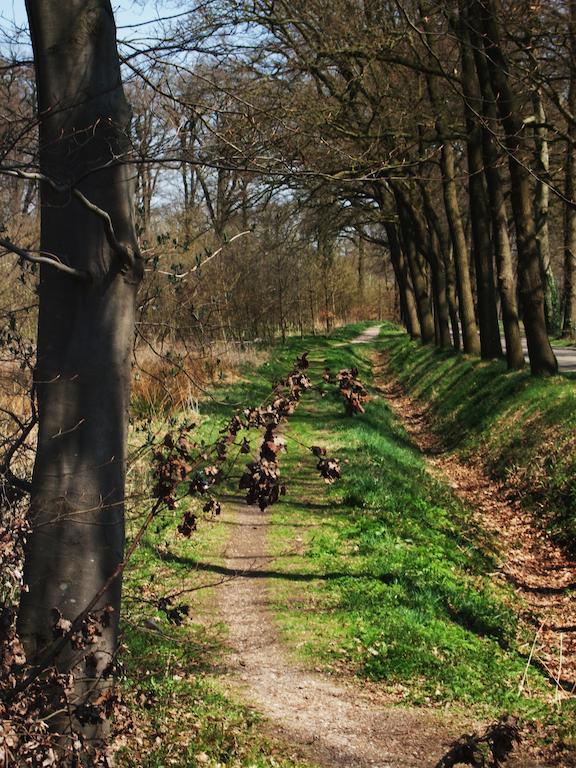 Weleveld Landgoed De Lavei Bed & Breakfast エクステリア 写真