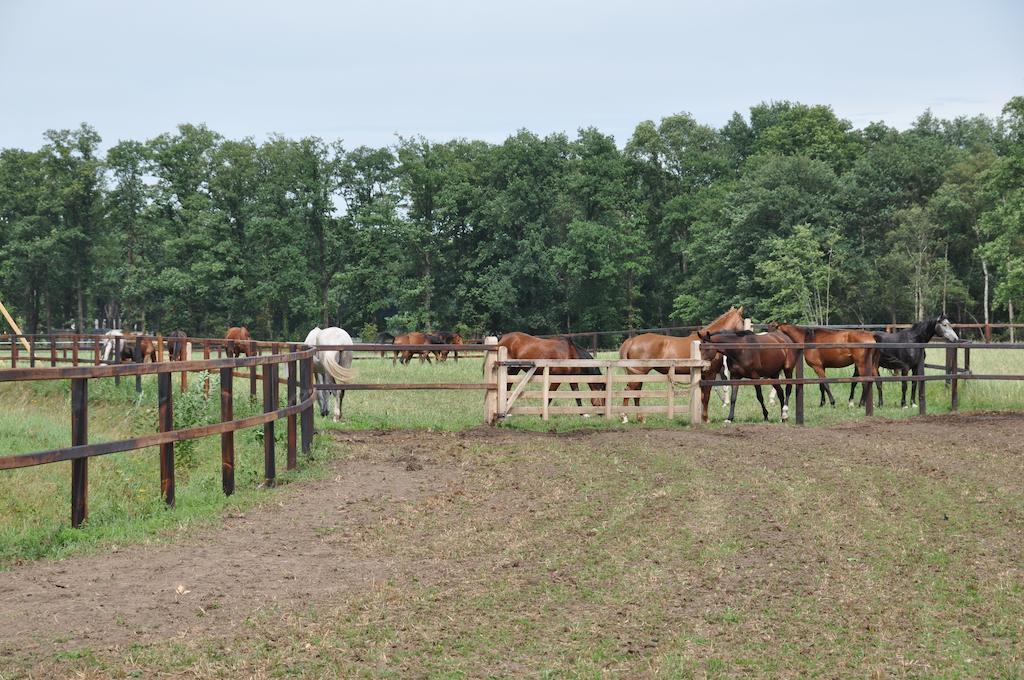 Weleveld Landgoed De Lavei Bed & Breakfast エクステリア 写真